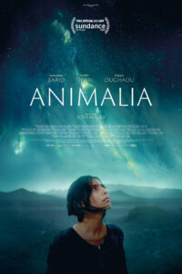 ANIMALIA