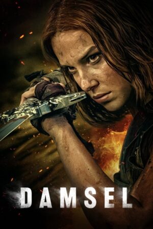 Poster zum Film Damsel