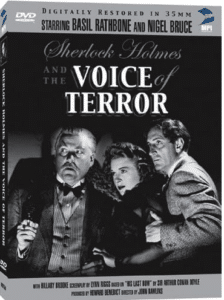 Die Stimme des Terrors poster