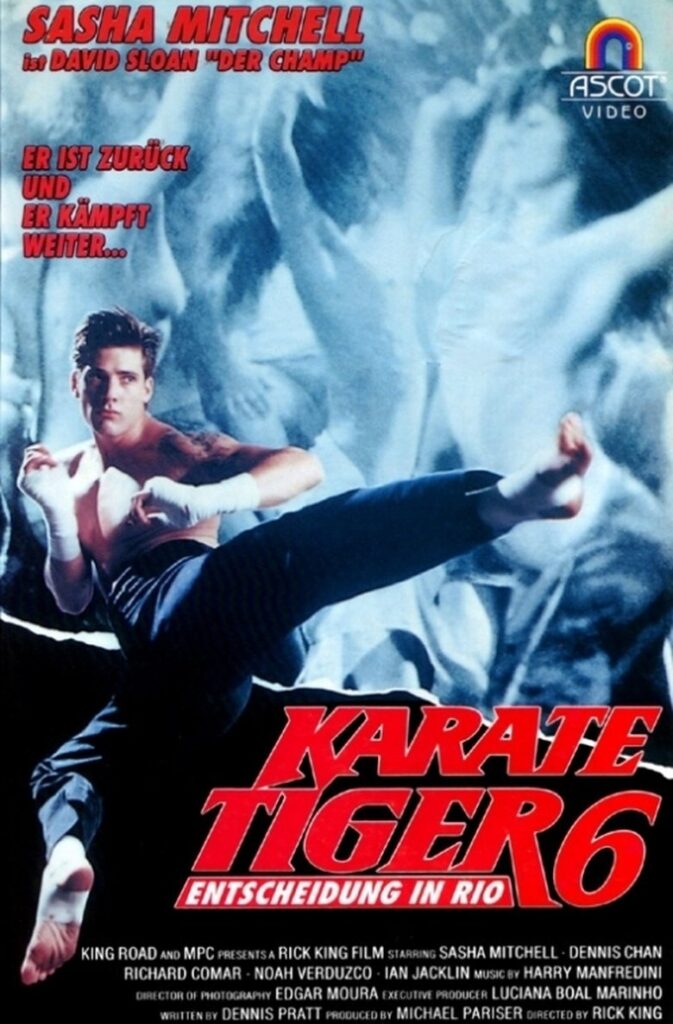 Poster zum Film Karate Tiger 6 (1992)