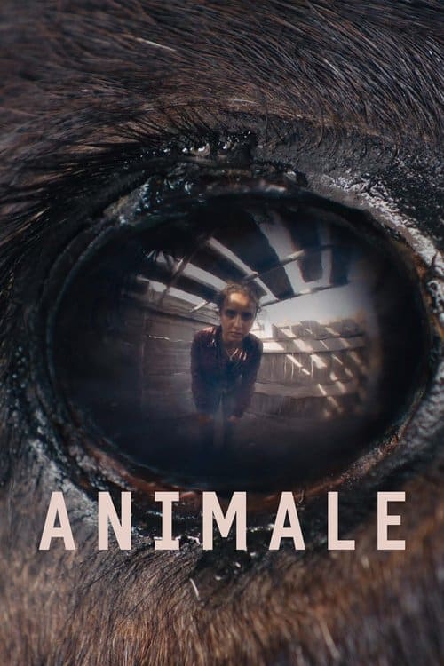 Animale - WatchGuide