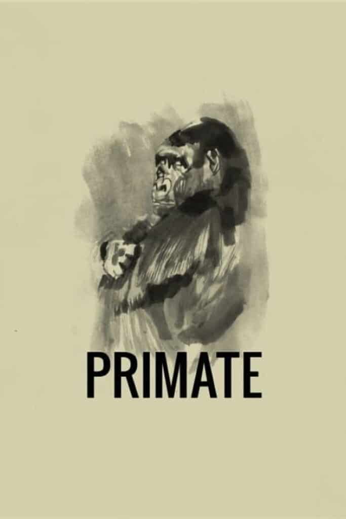Poster zum Film Primate (2026)