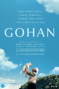 Gohan – Drei Leben auf vier Pfoten: Wer gibt wem ein Zuhause?